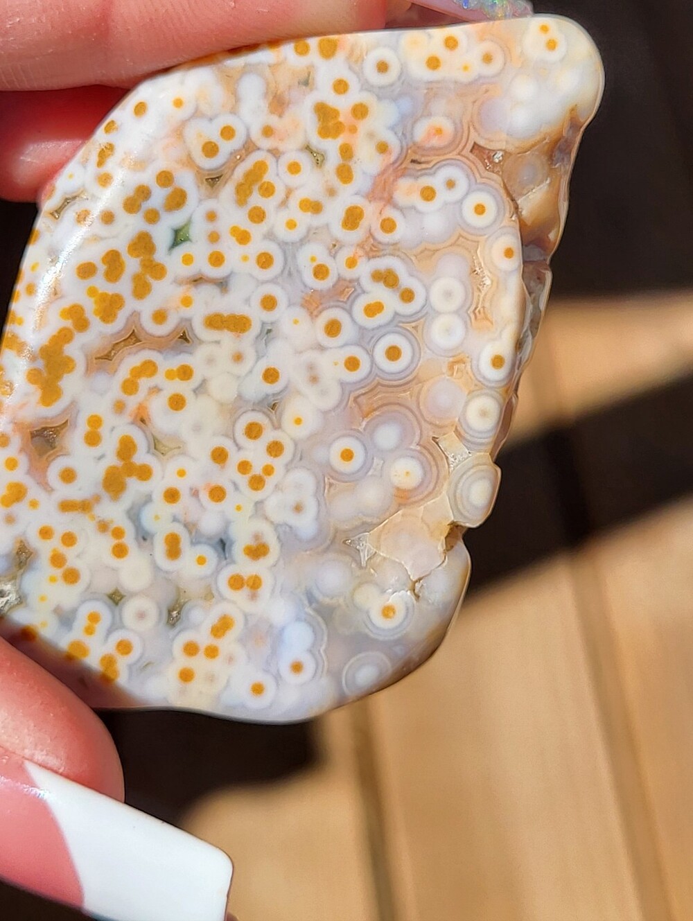 Ocean Jasper Palm